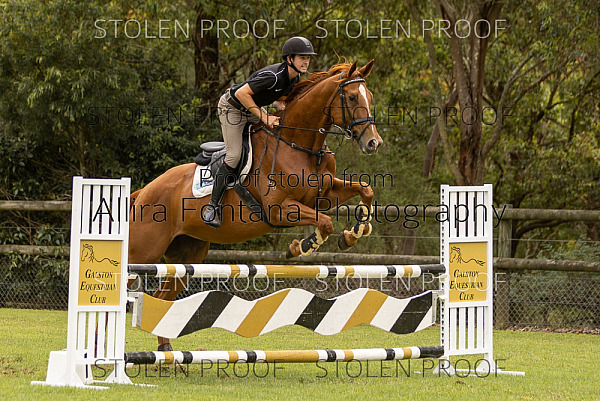 GEC Clear Round Jumping February 2024