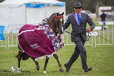 Melbourne Royal Horse Show Wrap Up