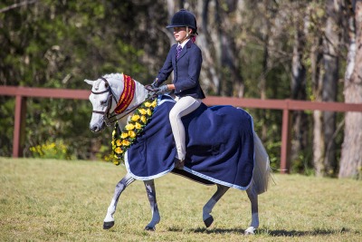 View Equine Proofs