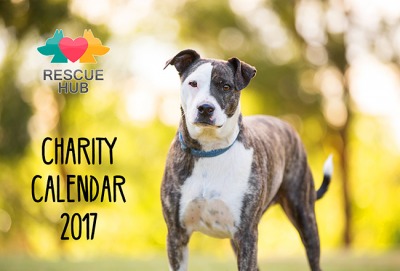 Calendar for a Cause - a barking success!