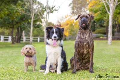 Lily, Moo & Muffin photo session