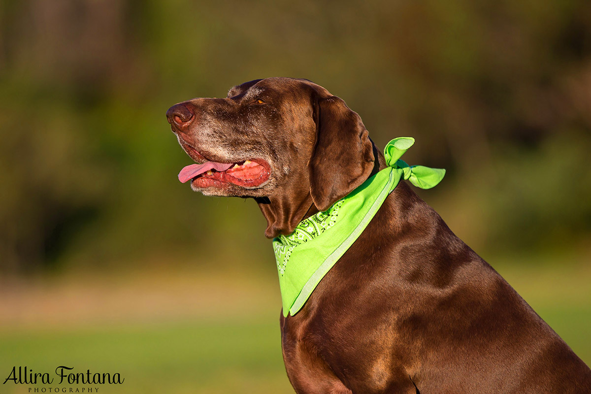 Ellie and Dukey photo session