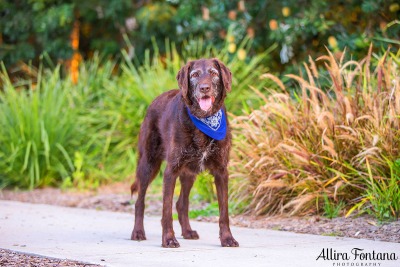 Ellie and Dukey photo session