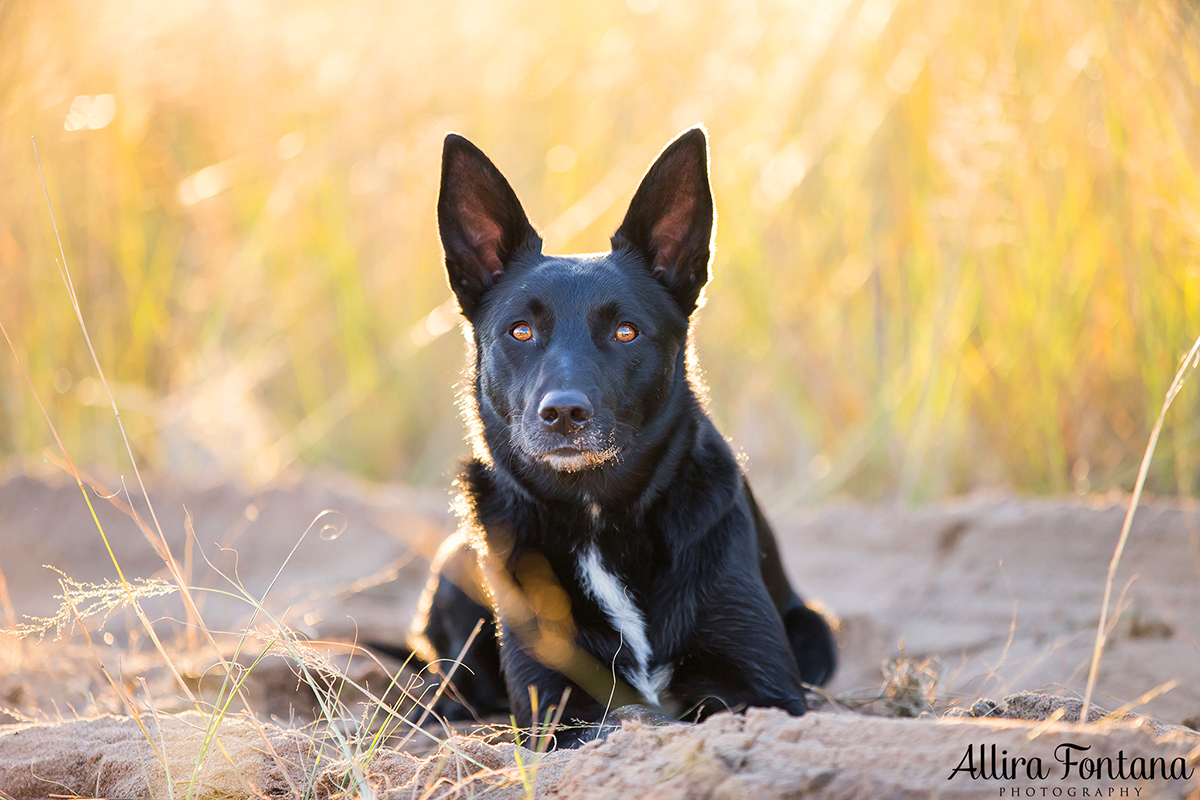 Axle photo session