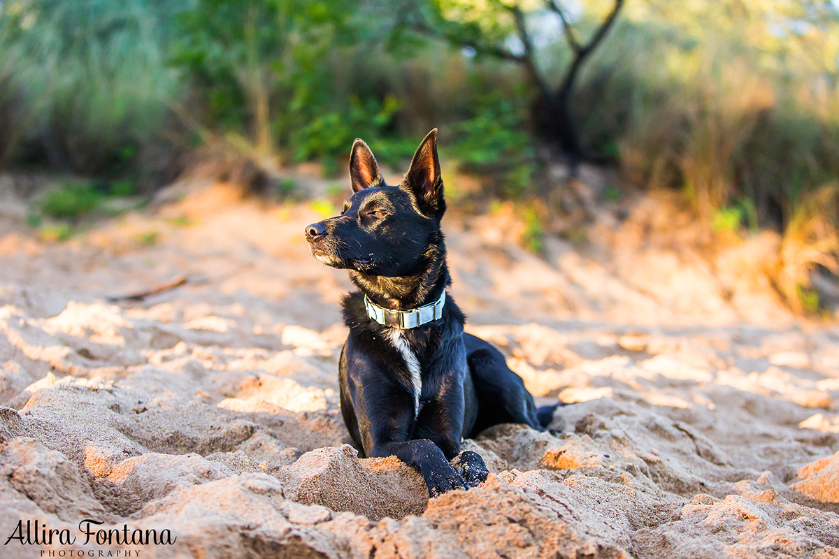 Axle photo session