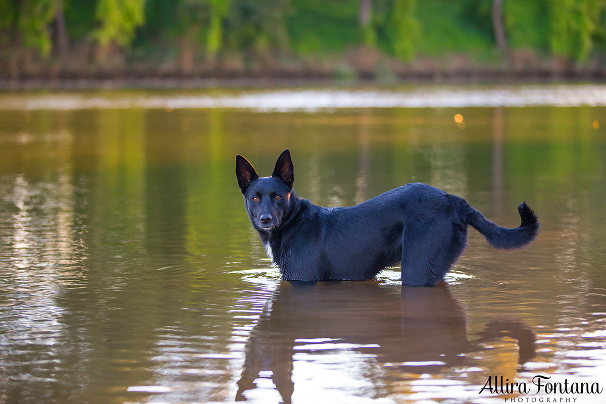 Axle photo session
