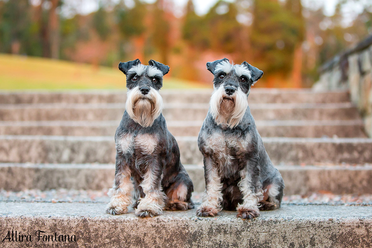 Minty and Tilly photo session 