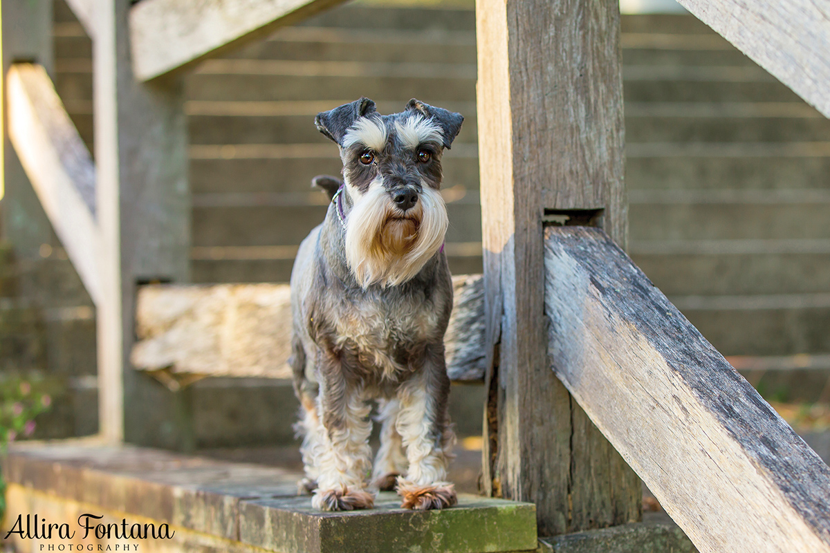 Minty and Tilly photo session
