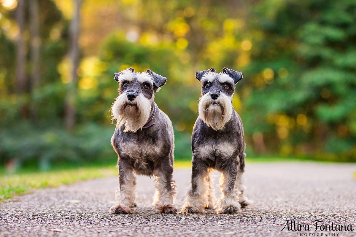 Minty and Tilly photo session