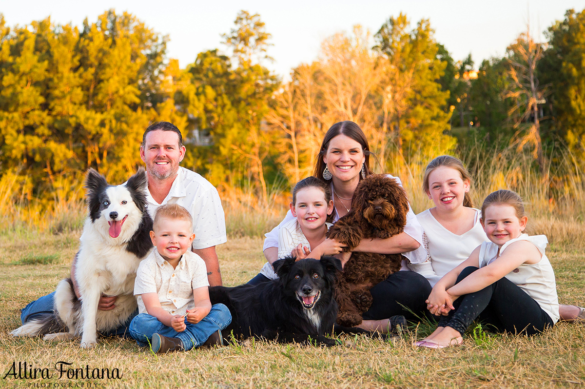 Toby, Diva and Bailey photo session