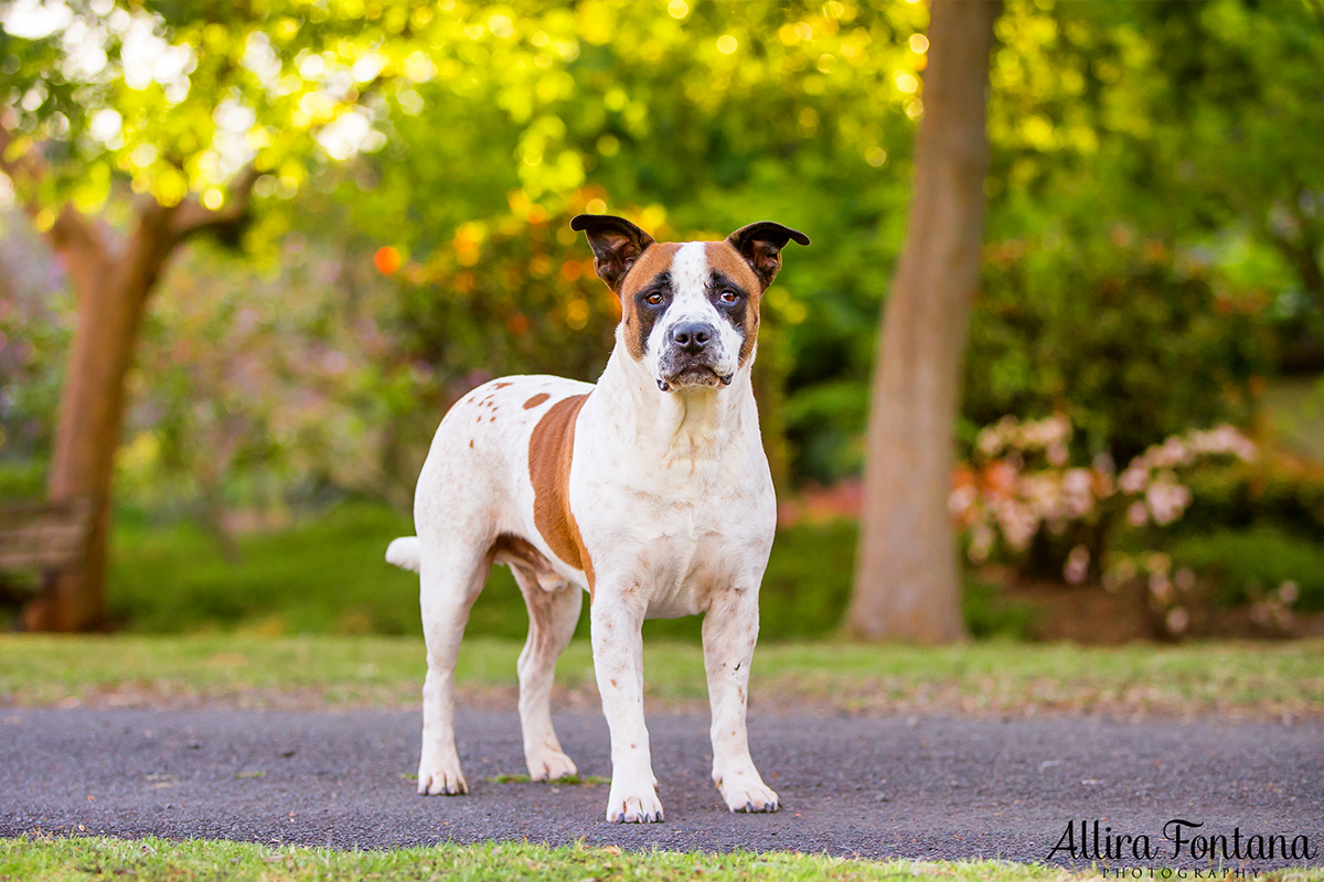 Beau photo session 