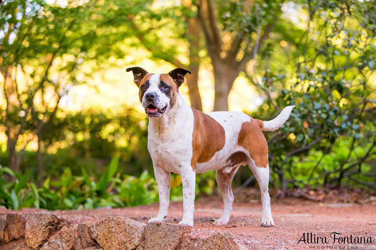 Beau photo session 