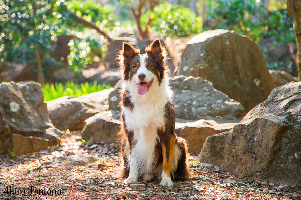 Kyla photo session