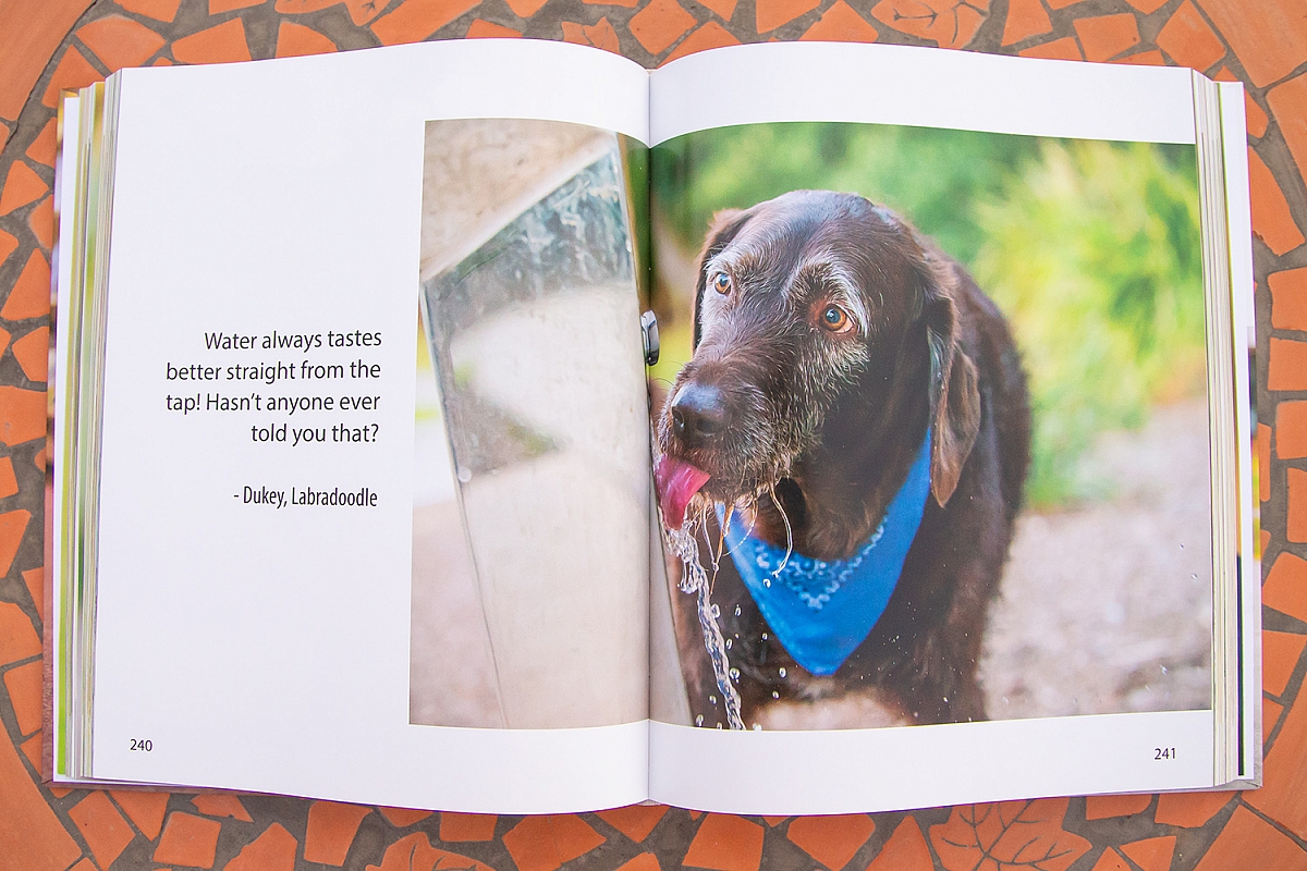 Canines of Character coffee table book | CoC5.jpg