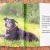 Canines of Character coffee table book | CoC6.jpg