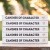 Canines of Character coffee table book | CoC3.jpg