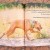 Canines of Character coffee table book | CoC7.jpg