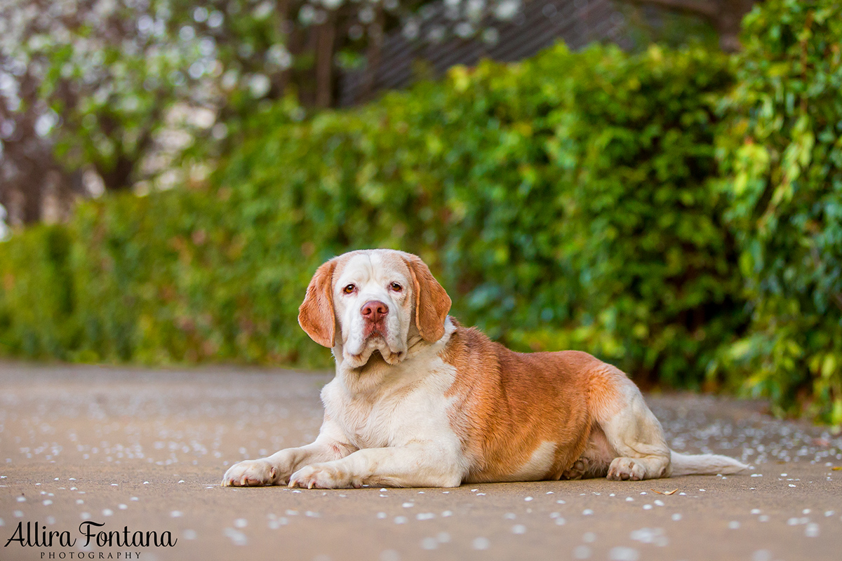 Billy photo session