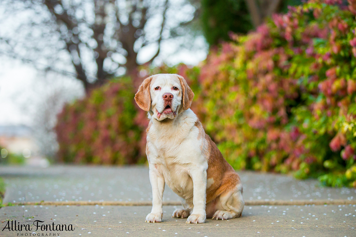 Billy photo session