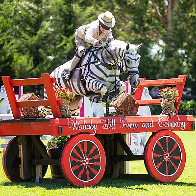 Wallaby Hill Equestrian Extravaganza 2019