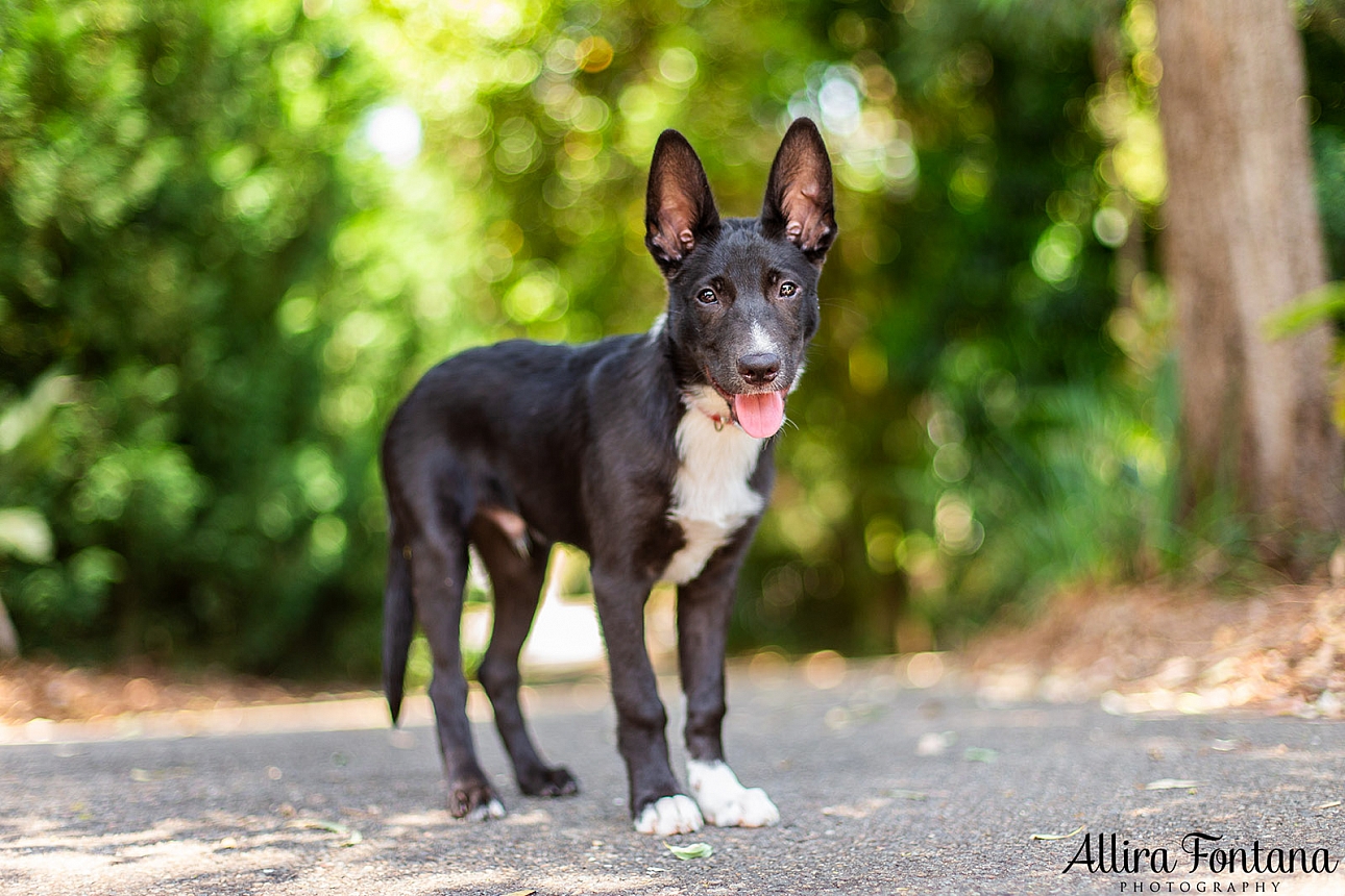 Sprocket's photo session  