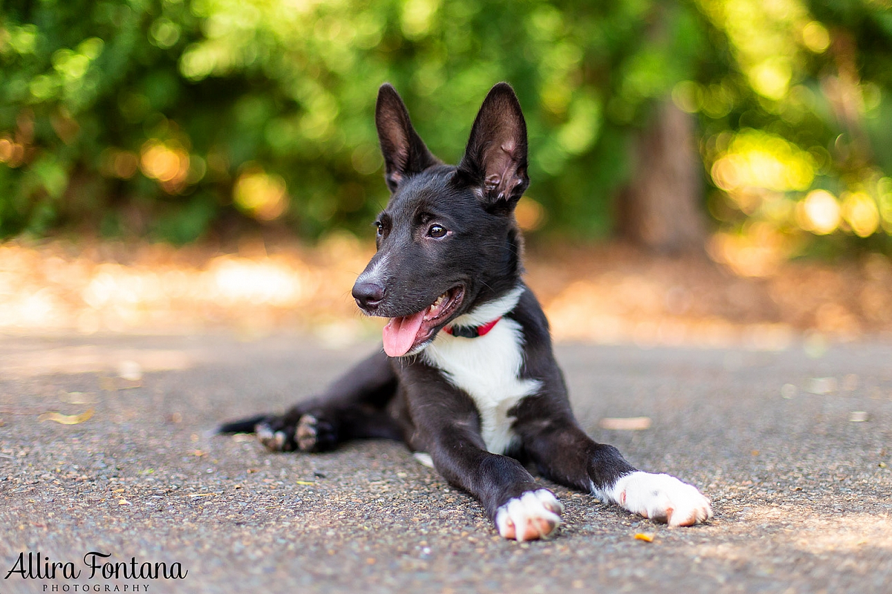 Sprocket's photo session  