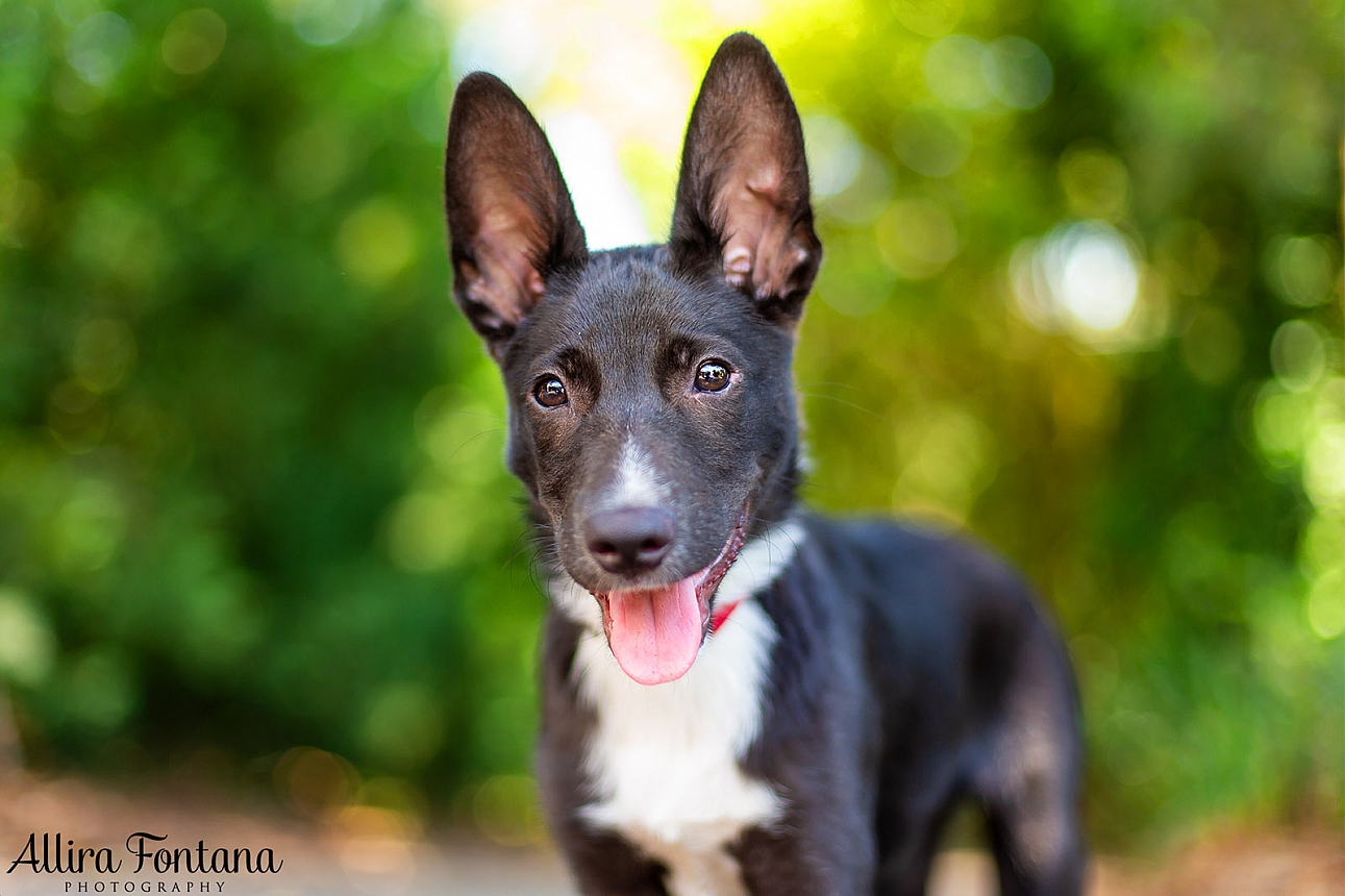 Sprocket's photo session  