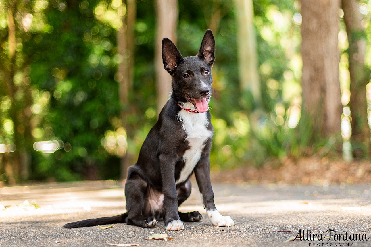 Sprocket's photo session  