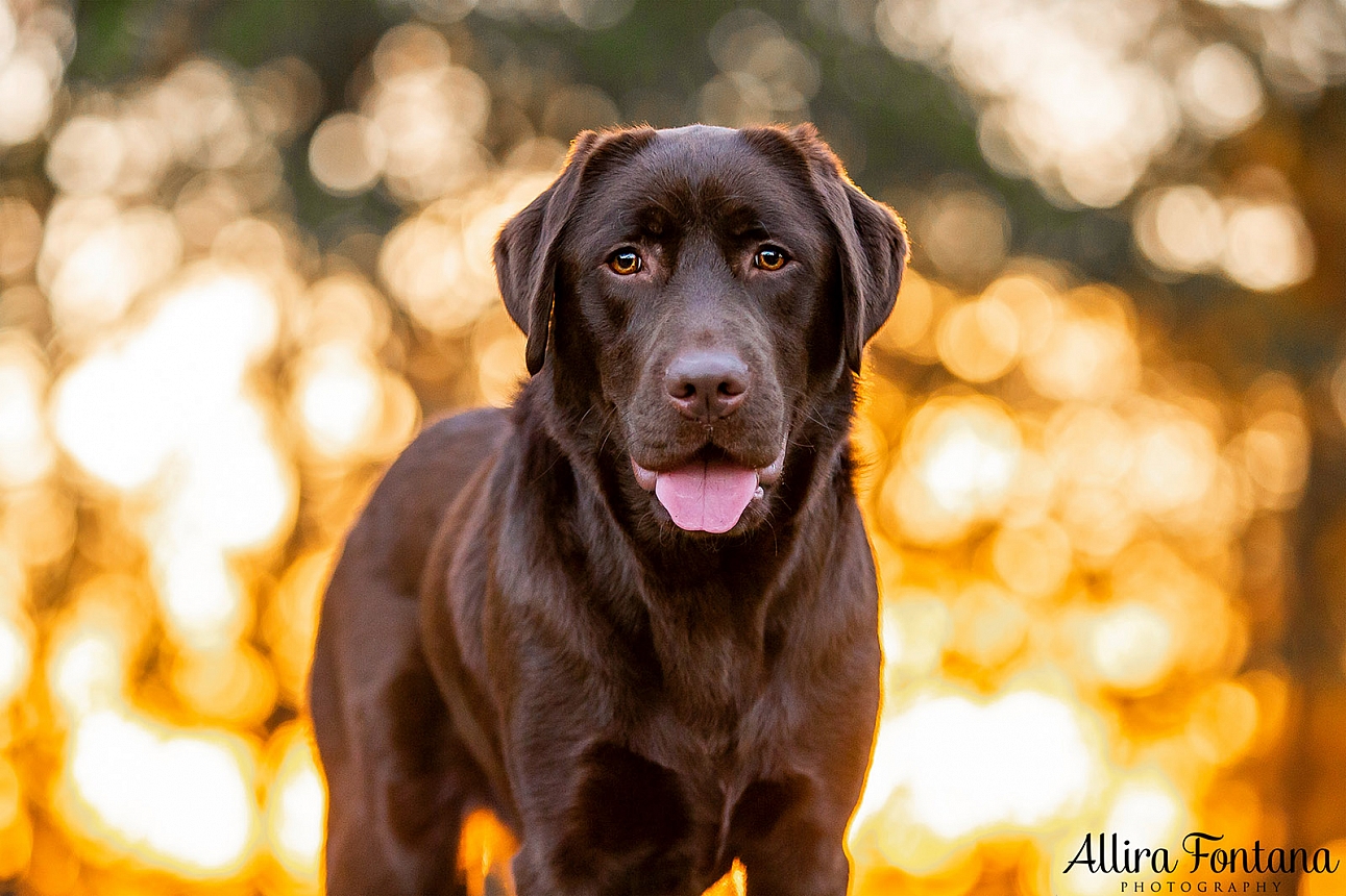 Coco's photo session at Fagan Park 