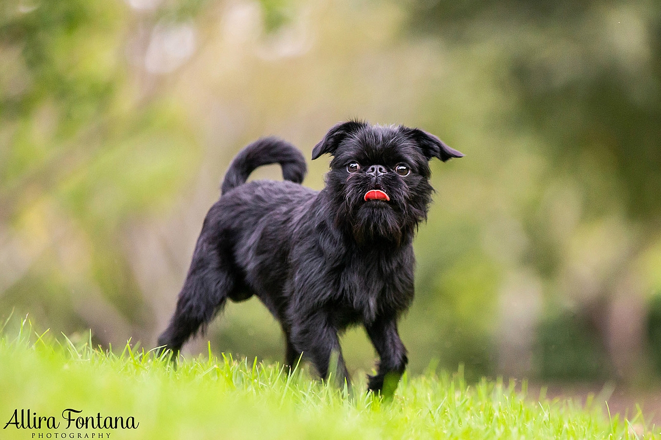 Boy George's photo session at Fagan Park 