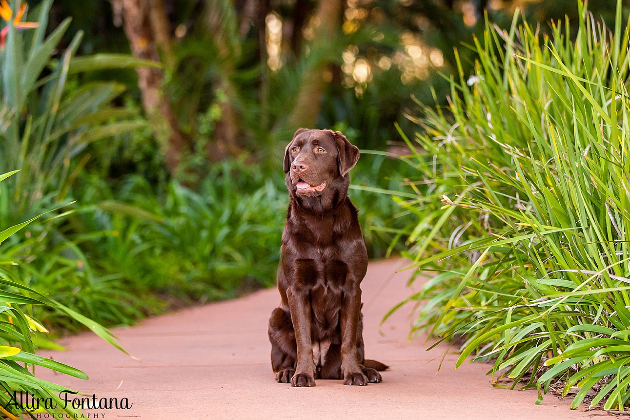 Coco's photo session at Fagan Park 