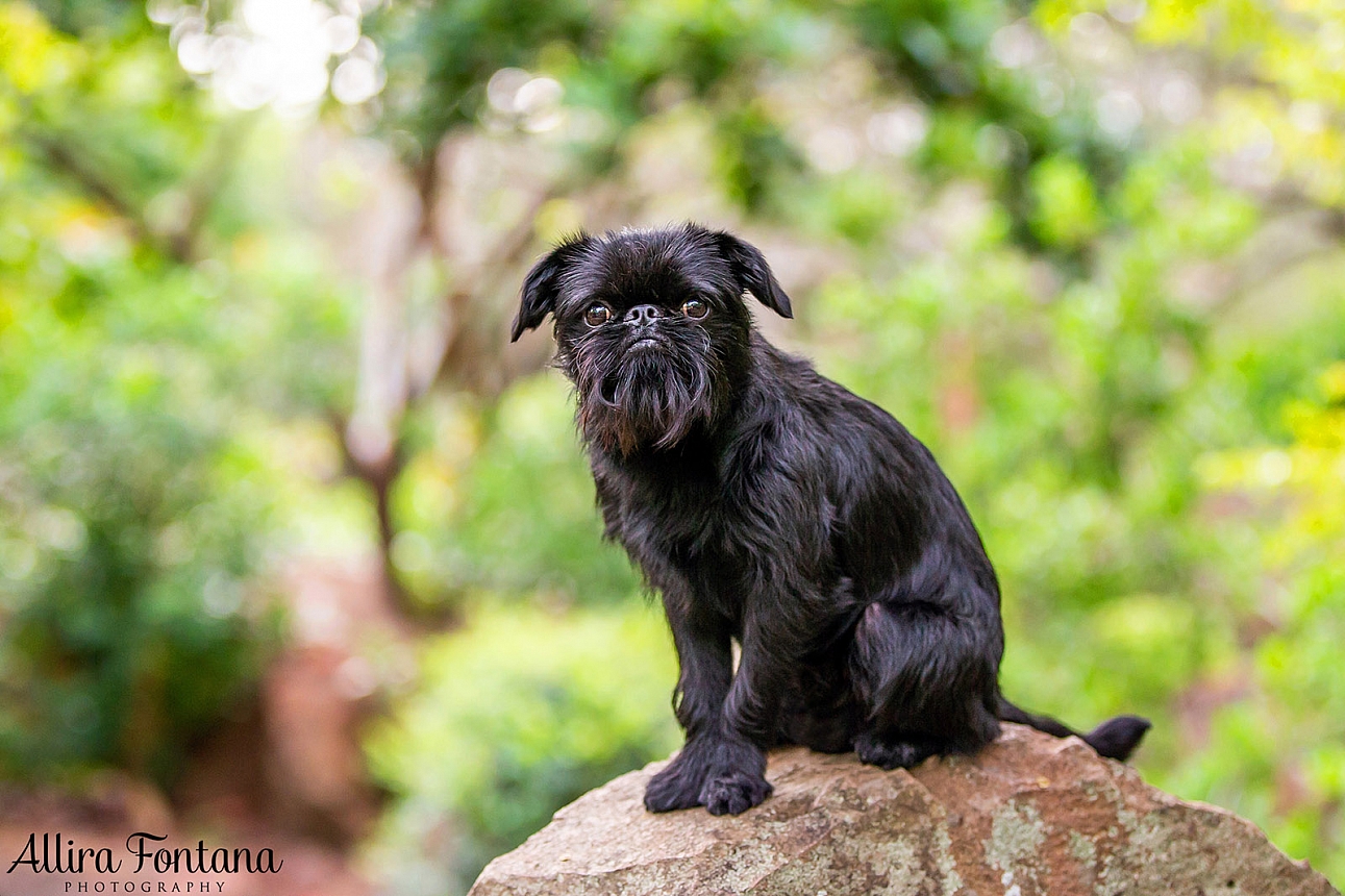 Boy George's photo session at Fagan Park 