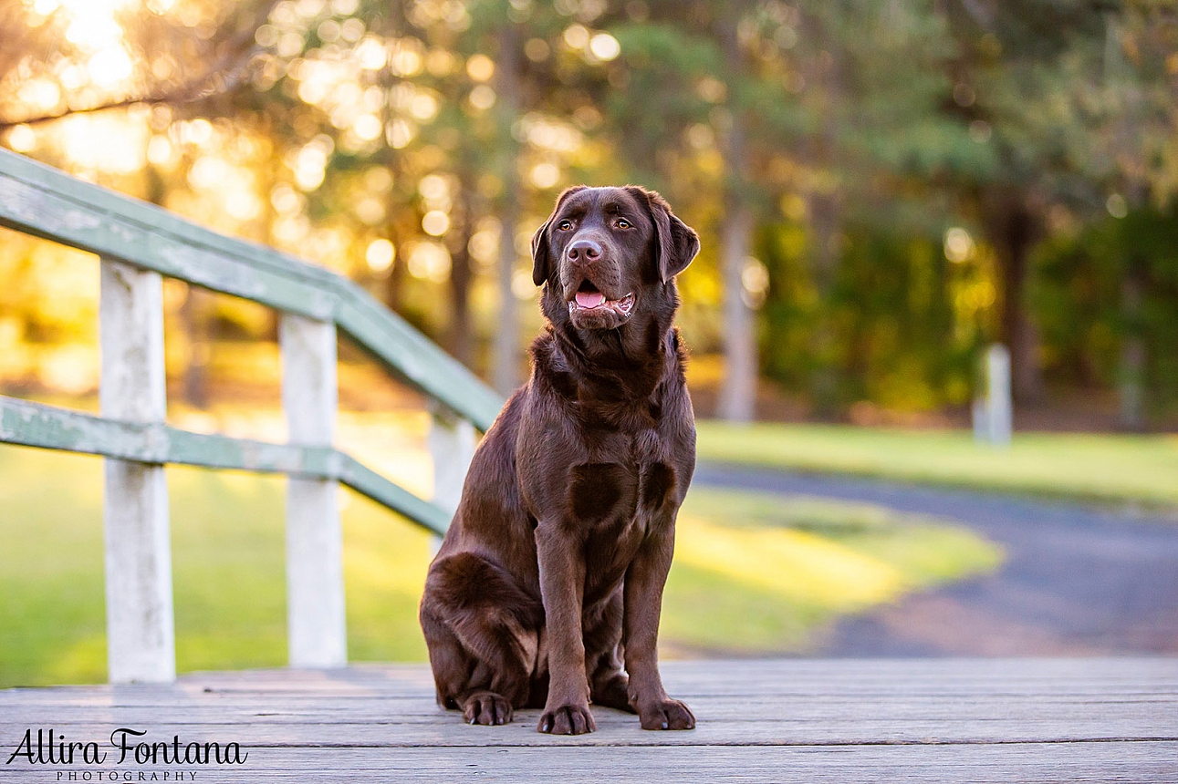 Coco's photo session at Fagan Park 