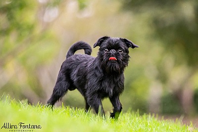 Boy George's photo session at Fagan Park