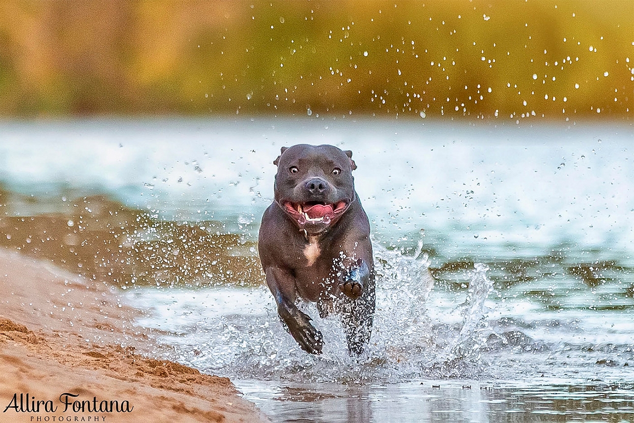 Jake's photo session at Macquarie Park 