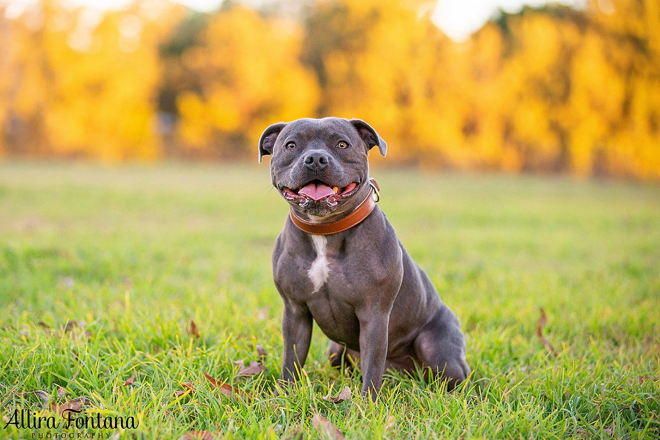 Jake's photo session at Macquarie Park 