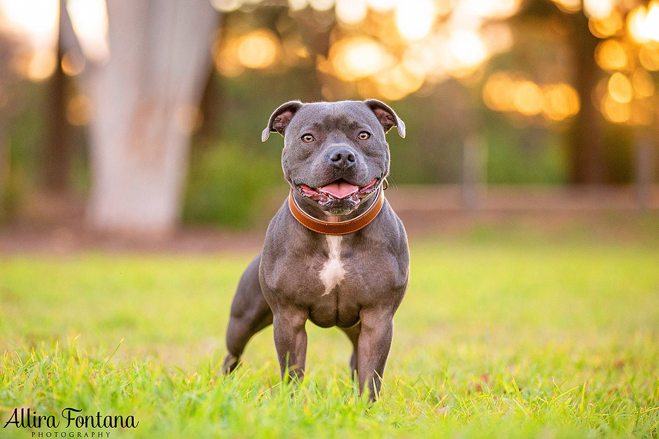 Jake's photo session at Macquarie Park 