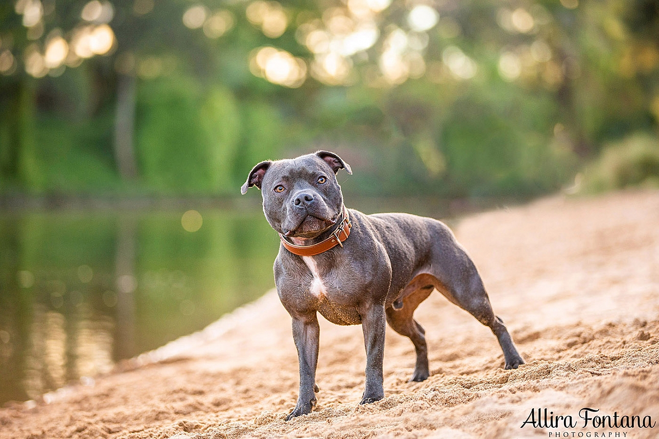 Jake's photo session at Macquarie Park 