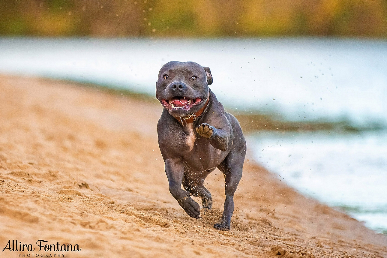 Jake's photo session at Macquarie Park 