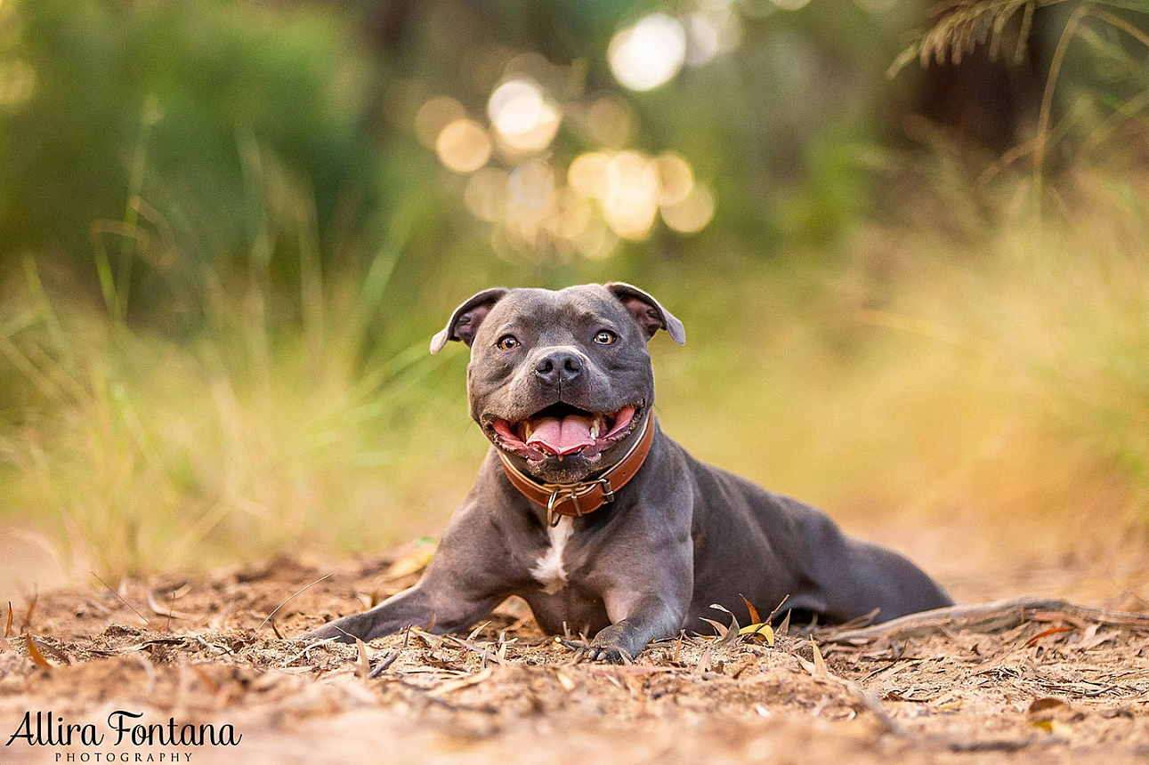 Jake's photo session at Macquarie Park 