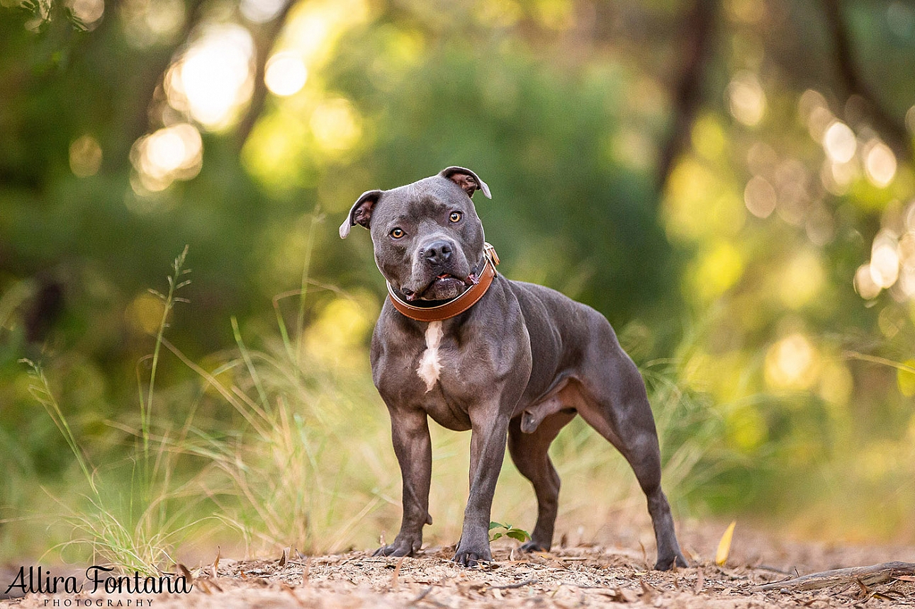 Jake's photo session at Macquarie Park 