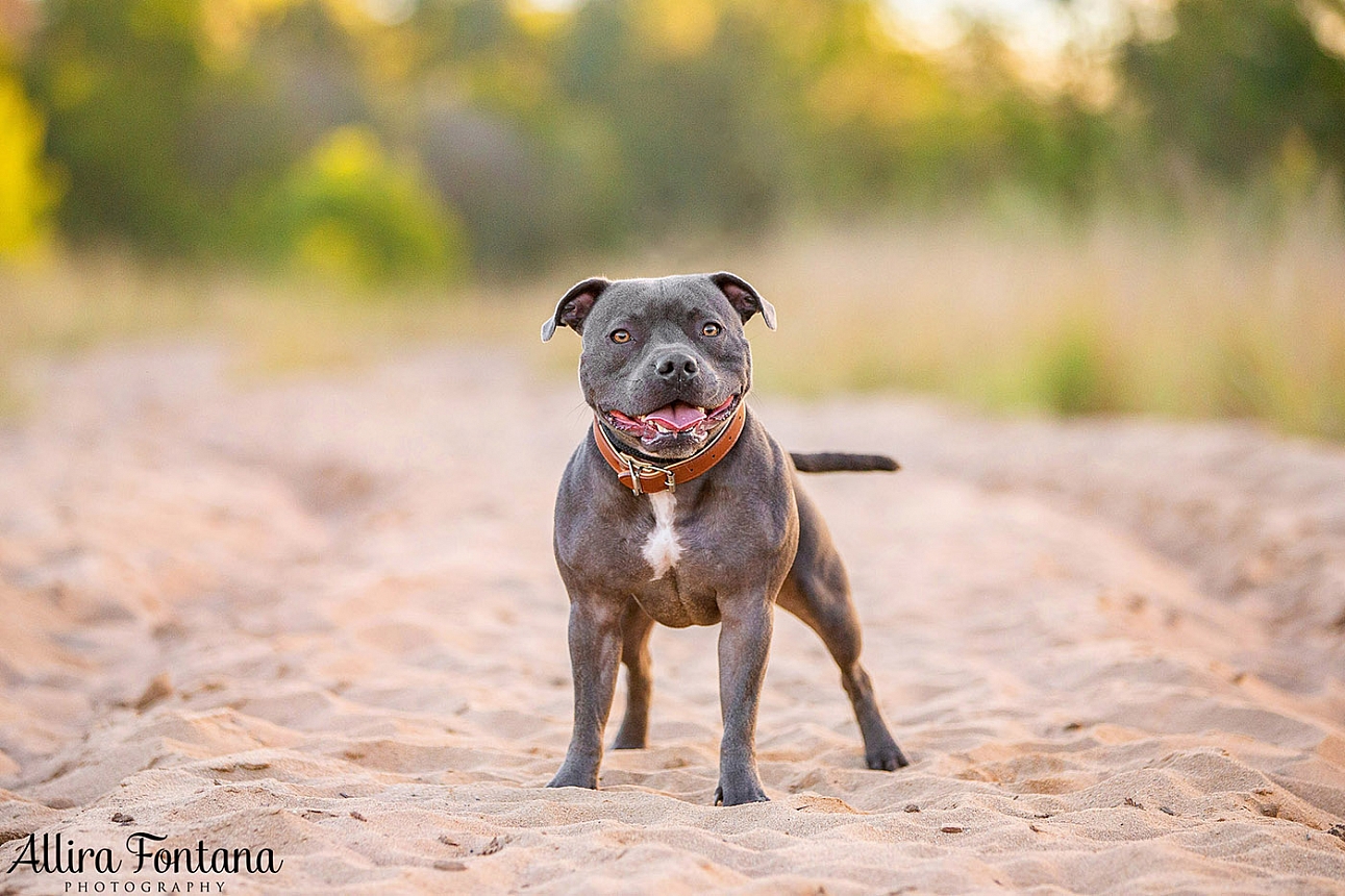 Jake's photo session at Macquarie Park 