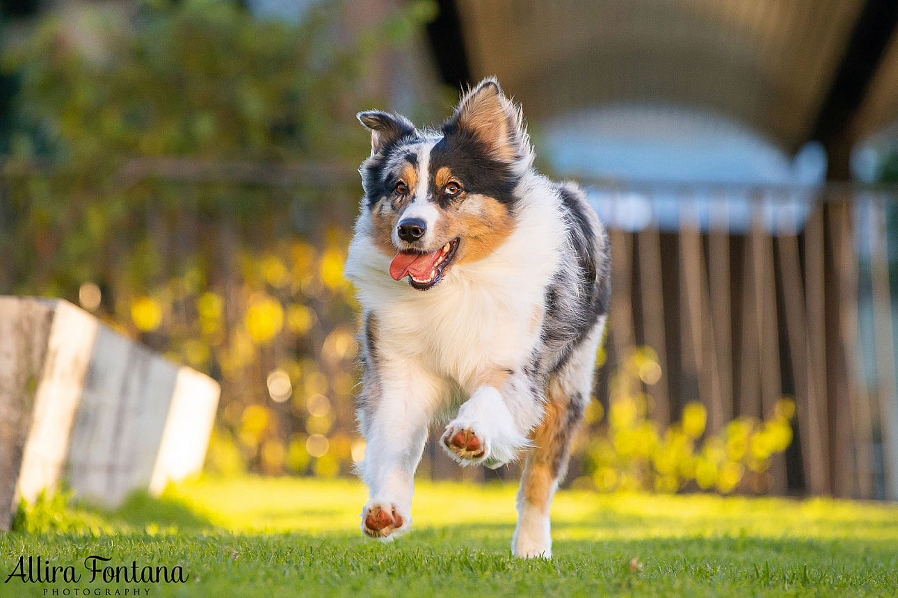 Winnie's photo session at Paddington Reservoir Gardens