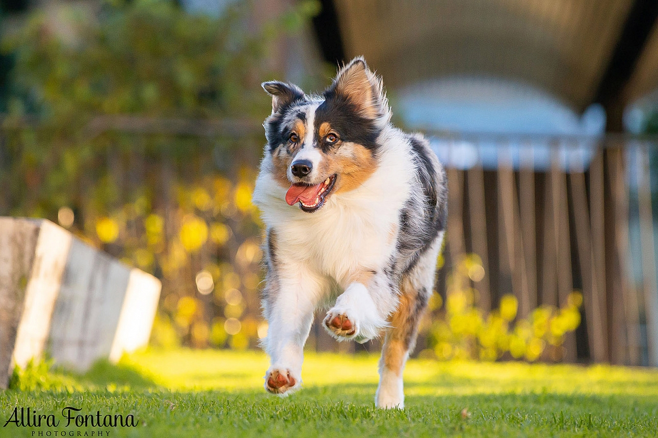 Winnie's photo session at Paddington Reservoir Gardens 