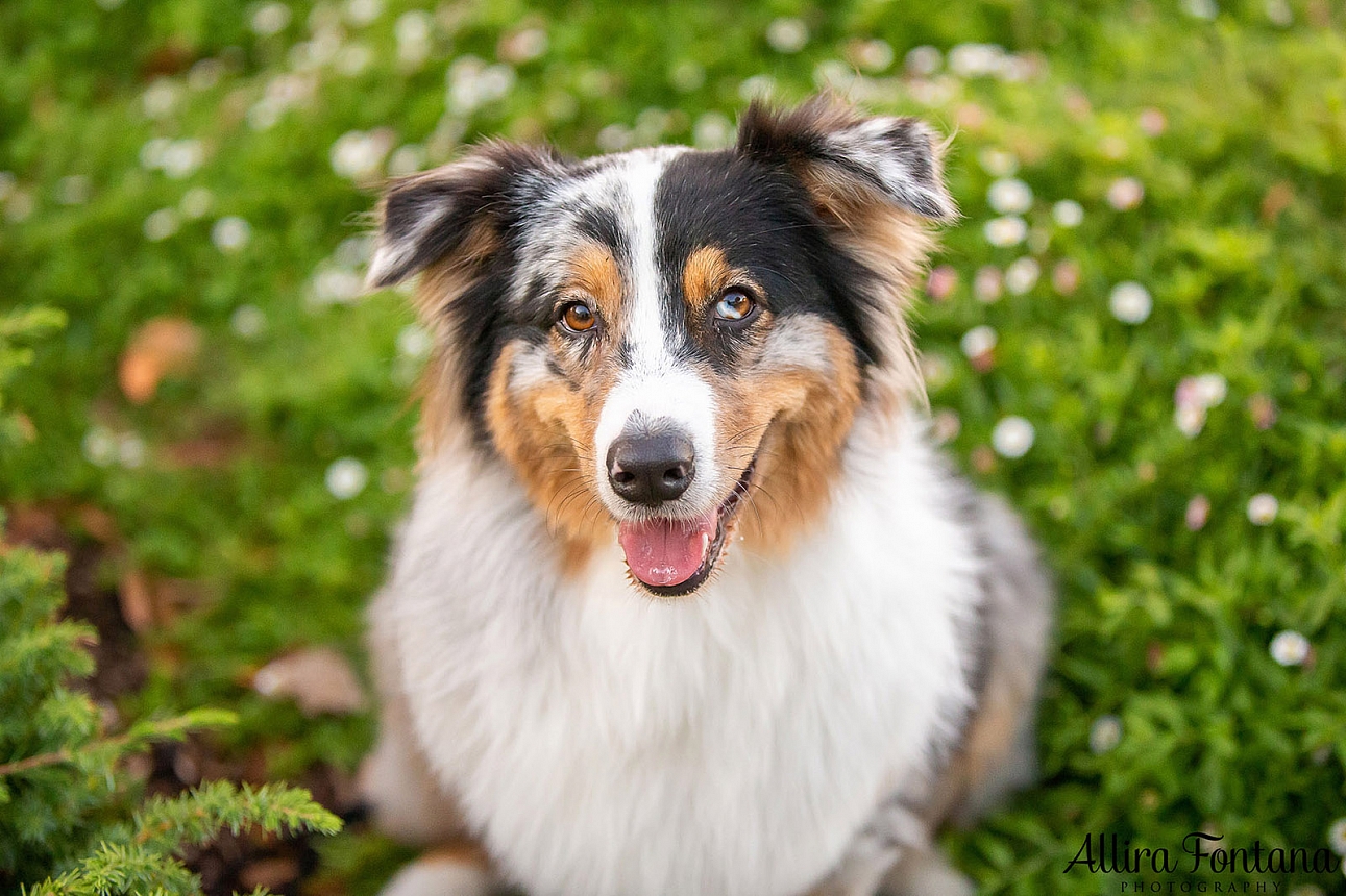 Winnie's photo session at Paddington Reservoir Gardens 