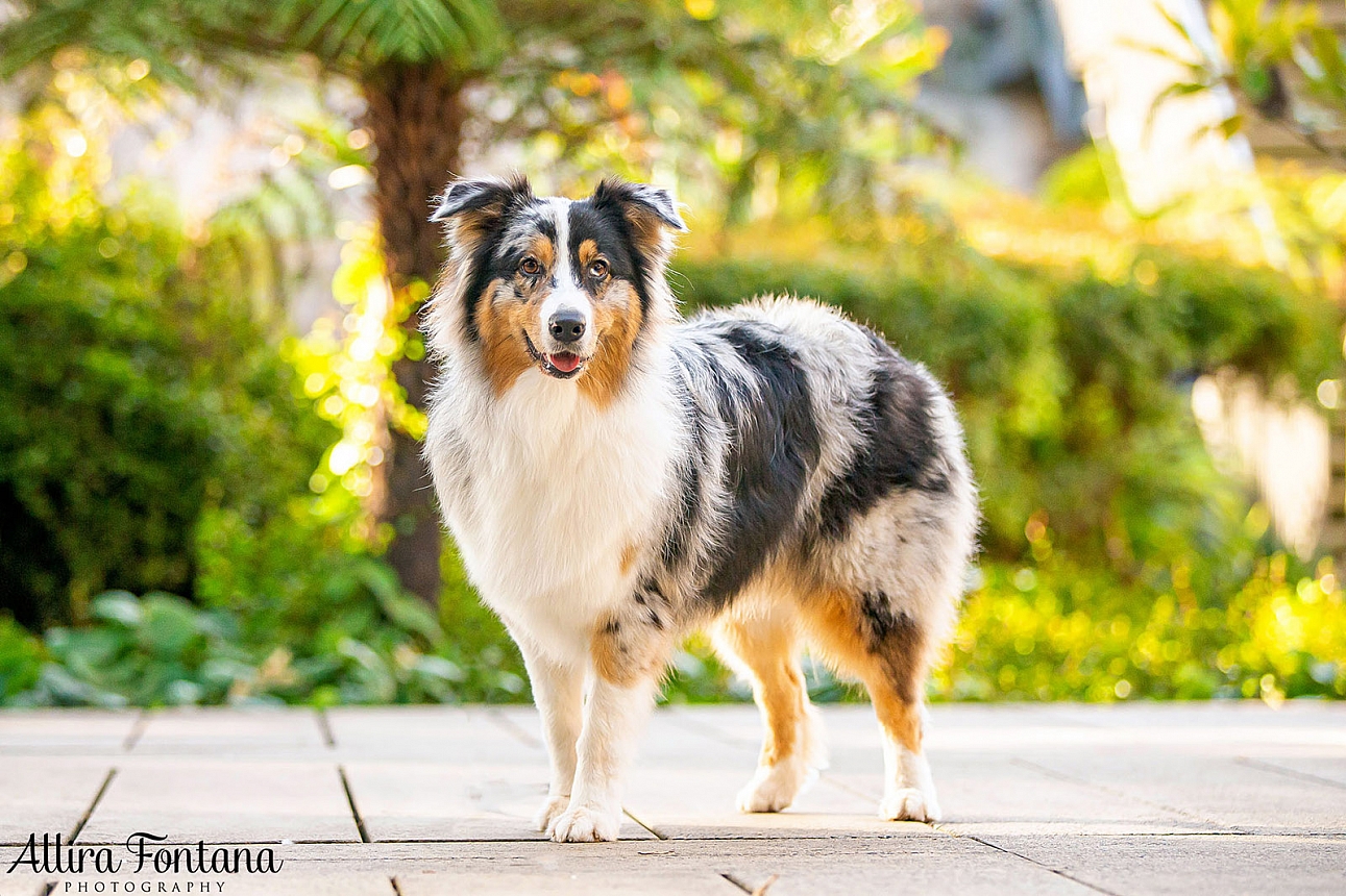 Winnie's photo session at Paddington Reservoir Gardens