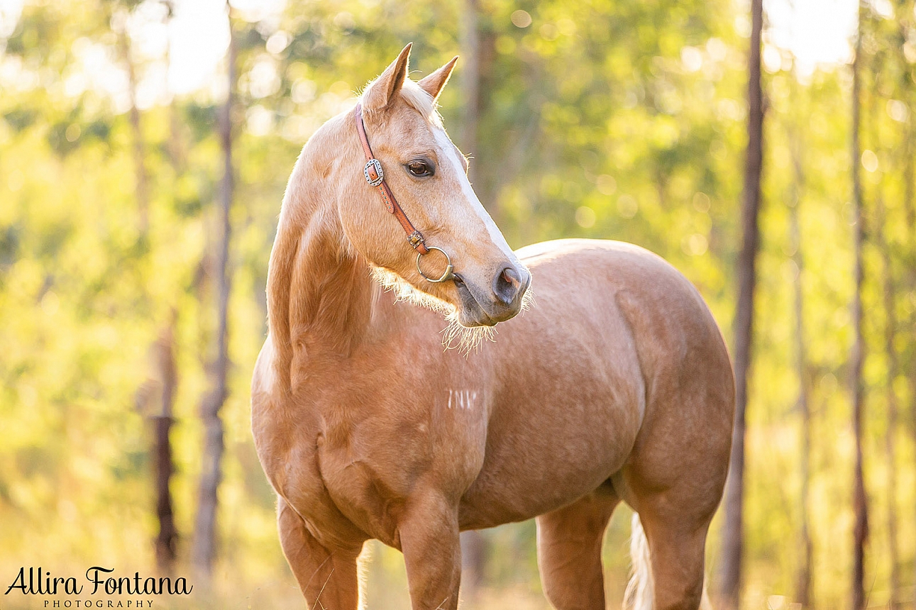 Taleah, Dolly and Strawberry’s photo session at Scheyville National Park 