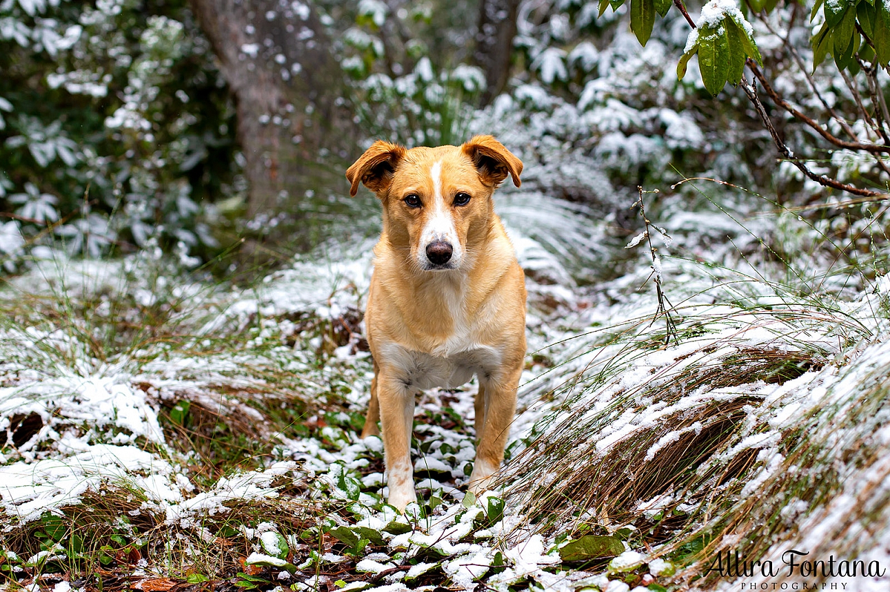 We were in the snow! 