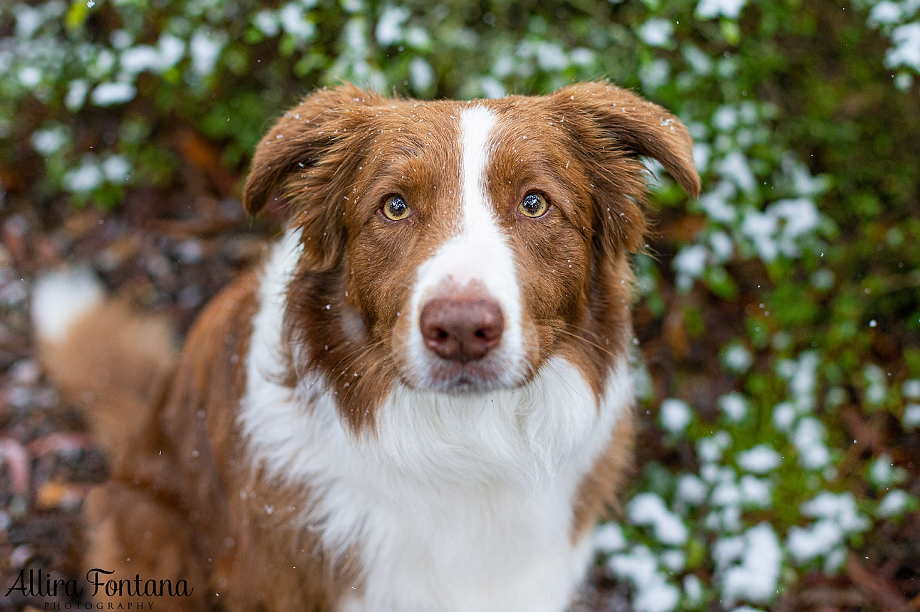 We were in the snow! 