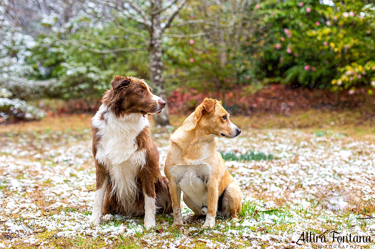 We were in the snow! 